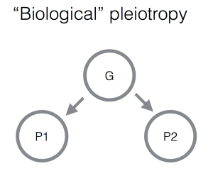Biological pleiotropy