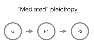 Mediated pleiotropy